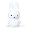 Atelier Pierre Objets Déco Enfant Tirelire Miffy Pvc Blanc