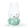 Atelier Pierre Objets Déco Enfant Tirelire Miffy Pvc Vert