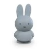 Atelier Pierre Objets Déco Enfant Tirelire Miffy Warm 18 Cm Bleu Argenté Bleu